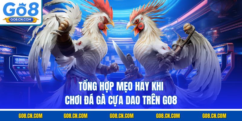 Tổng hợp mẹo hay khi chơi đá gà cựa dao trên GO8